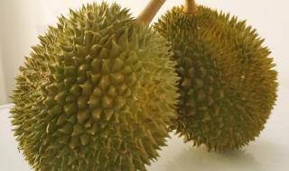 泰国榴莲几月份成熟上市