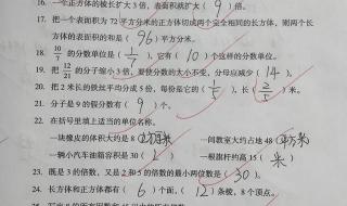初一下册数学期中试卷